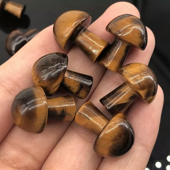 EOEMY Natural Tiger'S Eye Quartz Crystal Mushroom Carved Stone Healing Mineral Rock