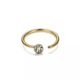 thumbnail image 1 of EOEMY Surgical Steel Nose Ring Septum Clicker Hinge Segment Ear Helix Tragus Ring Hoop-N-8mm, 1 of 8