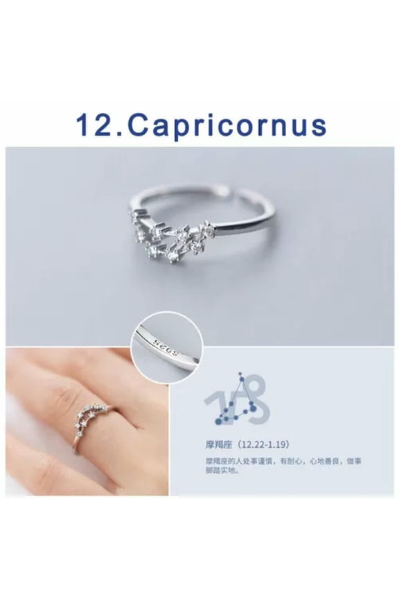 Women Zircon 12 Constellations Zodiac Sign Silver Plated Open Rings Adjustable-Capricorn
