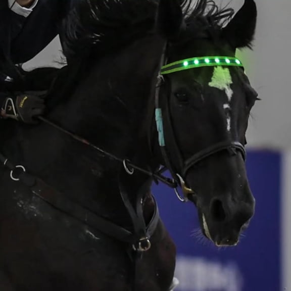 EONQY Horse Headband LED Horse Breastplate Collar LED Strip Visibility Tack Horse Head Strap Bandage Strap for Night Horse Riding Equestrian Competition Event