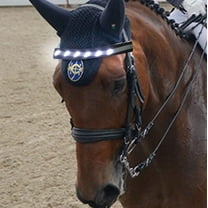 EONQY Horse Headband LED Horse Breastplate Collar LED Strip Visibility Tack Horse Head Strap Bandage Strap for Night Horse Riding Equestrian Competition Event