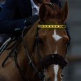thumbnail image 1 of EONQY Horse Headband LED Horse Breastplate Collar LED Strip Visibility Tack Horse Head Strap Bandage Strap for Night Horse Riding Equestrian Competition Event, 1 of 7