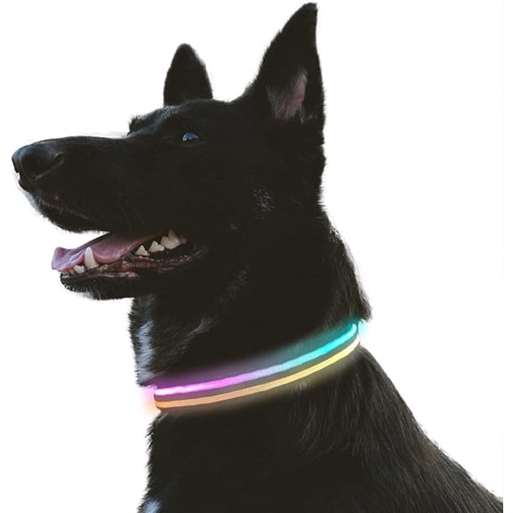 EONQY LED Dog Collar, USB Rechargeable Waterproof Light Up Pet Collars with 3 Modes Flashing Dog Collar for Small Medium Large Dogs