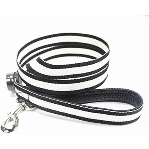 EONQY LED Dog Leash 3 Lighting Modes USB Rechargeable Nylon Webbing Glow Safety Standard Dog Leash for Night Walking for Small/Medium/Large DogsEONQY