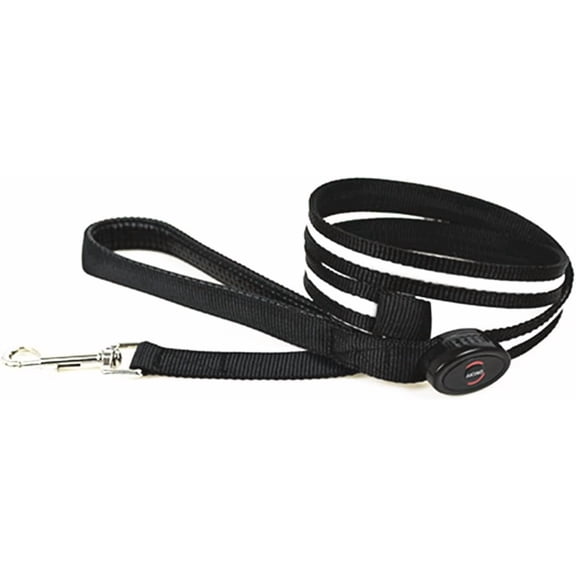 EONQY LED Light Up Dog Leash, 3 Lighting Modes Battery Operated Flashing Nylon Leash for Night Walking for Small Medium Large Dogs