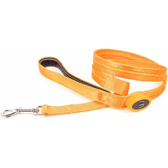 EONQY LED Light Up Dog Leash, 3 Lighting Modes Battery Operated Flashing Nylon Leash for Night Walking for Small Medium Large Dogs