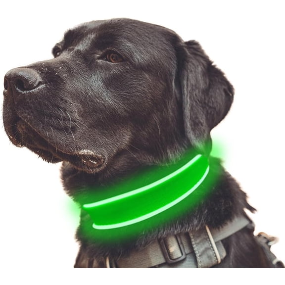 EONQY Light Up Dog Collar, LED Dog Collar USB Rechargeable, Waterproof Adjustable Nylon Reflective Dog Collar for Small Medium Large Dogs