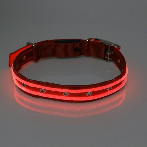 EONQY Light Up Dog Collar USB Rechargeable, Waterproof LED Dog Collar Adjustable Nylon Reflective Dog Collar for Small Medium Large Dogs