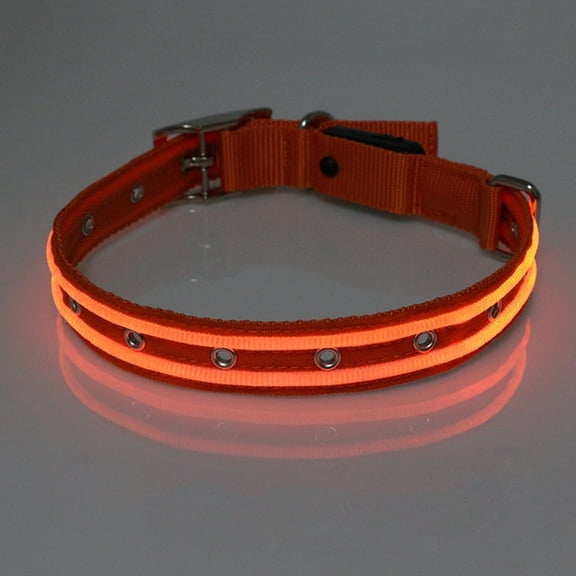 EONQY Light Up Dog Collar USB Rechargeable, Waterproof LED Dog Collar Adjustable Nylon Reflective Dog Collar for Small Medium Large Dogs