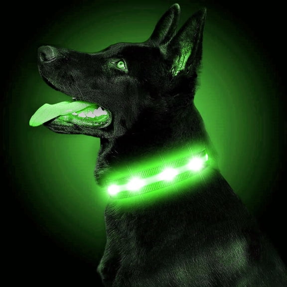 EONQY Light Up Dog Collar USB Rechargeable, Waterproof LED Dog Collar with 8 Light Modes Nylon Reflective Dog Collar for Small Medium Large Dogs