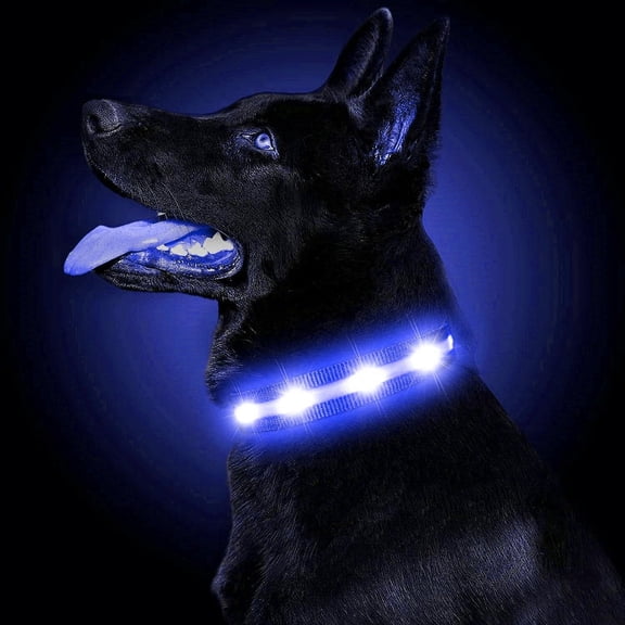 EONQY Light Up Dog Collar USB Rechargeable, Waterproof LED Dog Collar with 8 Light Modes Nylon Reflective Dog Collar for Small Medium Large Dogs