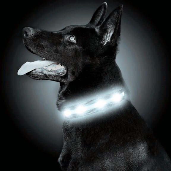 EONQY Light Up Dog Collar USB Rechargeable, Waterproof LED Dog Collar with 8 Light Modes Nylon Reflective Dog Collar for Small Medium Large Dogs