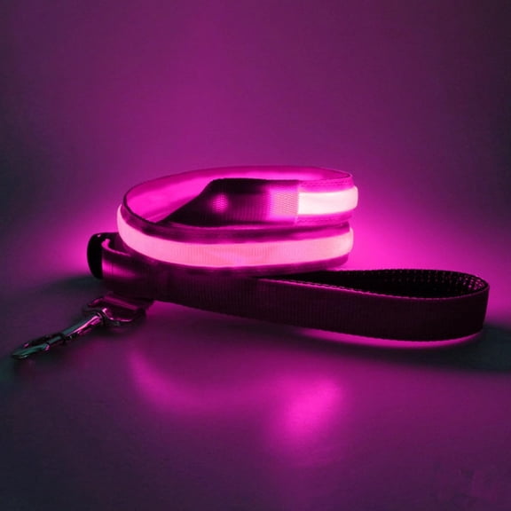 EONQY Light Up Dog Leash, USB Rechargeable Glowing LED Dog Leash, 3 Flash Modes Nylon Light Up Dog Lead for Small Medium Large Pets