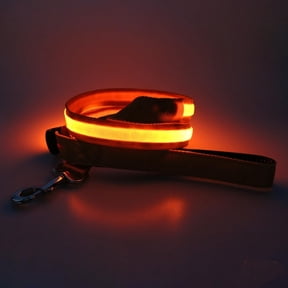EONQY Light Up Dog Leash, USB Rechargeable Glowing LED Dog Leash, 3 Flash Modes Nylon Light Up Dog Lead for Small Medium Large Pets