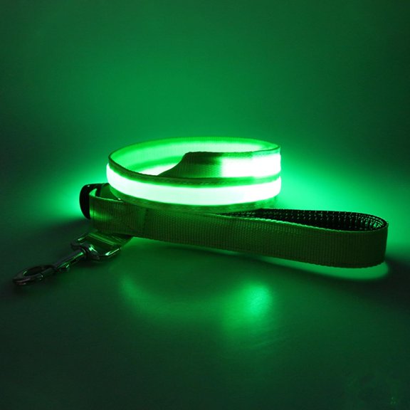EONQY Light Up Dog Leash, USB Rechargeable Glowing LED Dog Leash, 3 Flash Modes Nylon Light Up Dog Lead for Small Medium Large Pets