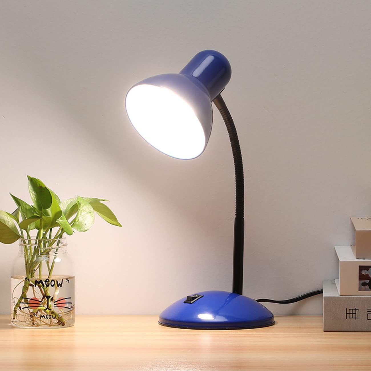 EONQY Metal Desk Lamp, Eye-Caring Table Lamp, Study Lamps with Flexible Goose Neck for Working, Studying, Reading