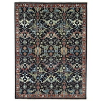 EORC Brown/ Red Hand Knotted Wool Traditional Serapi Rug, 9' x 12'