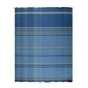 EORC Denim Hand-Knotted Wool Contemporary Flat Weave Rug, 4 x 6