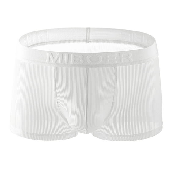 EOYWHK Boxer Briefs for Men Big and Tall Stretch Mesh Fabric Underwear Seamless Breathable Quick Drying Clear Boxers for Sleepwear,M-3XL