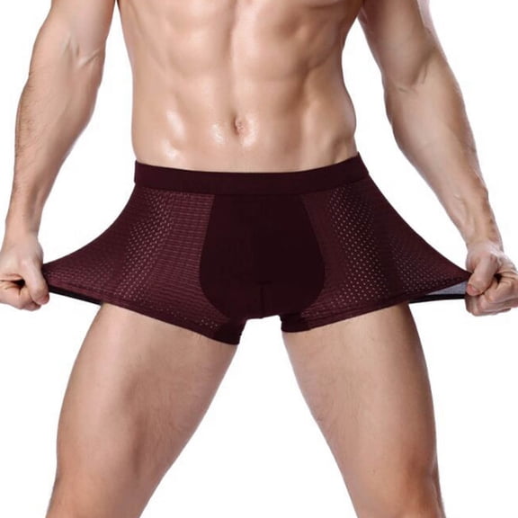 EOYWHK Mens Bikini Underwear Big and Tall Ice Silk Boxer Brief Seamless Breathable Stretch Swim Brief ,L-5XL