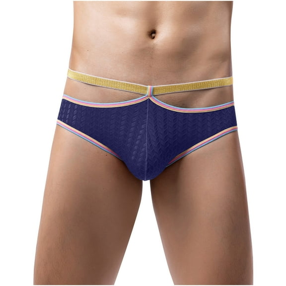 EOYWHK Silk Thong for Men Soft Breathable Underwear G-String Low Waist Clear Brief