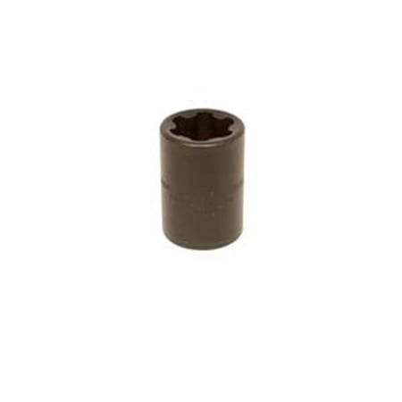 EP-24 Torx Plus Socket