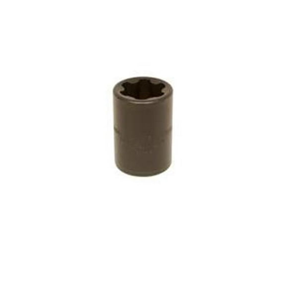 EP-24 Torx Plus Socket