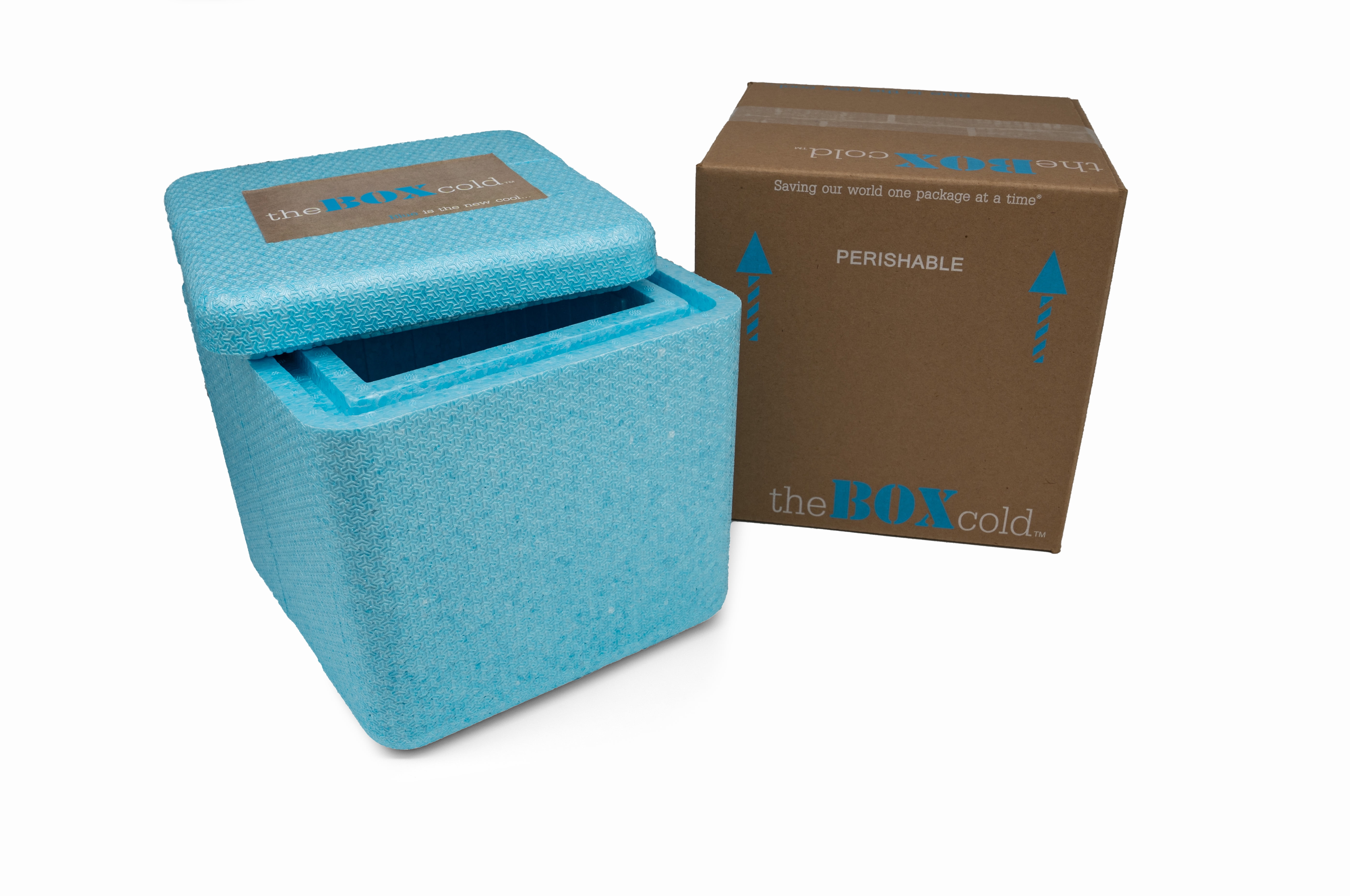 https://i5.walmartimages.com/seo/EPE-USA-Insulated-Cold-Shipping-Box-with-Foam-Cooler-6-x-6-x-6-Inside-Dimensions-Reusable-Recyclable-and-Multi-Purpose-theBOXcold_b629315d-ea6e-4b3d-af42-f9071673310d.b4220fb0a59a59139db5dd546d5dee73.jpeg