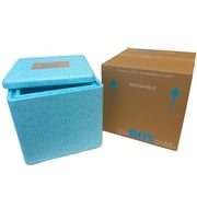 EPE USA Insulated Cold Shipping Box with Foam Cooler (Size: Small) Reusable, Recyclable, and Multi-Purpose, theBOXcold