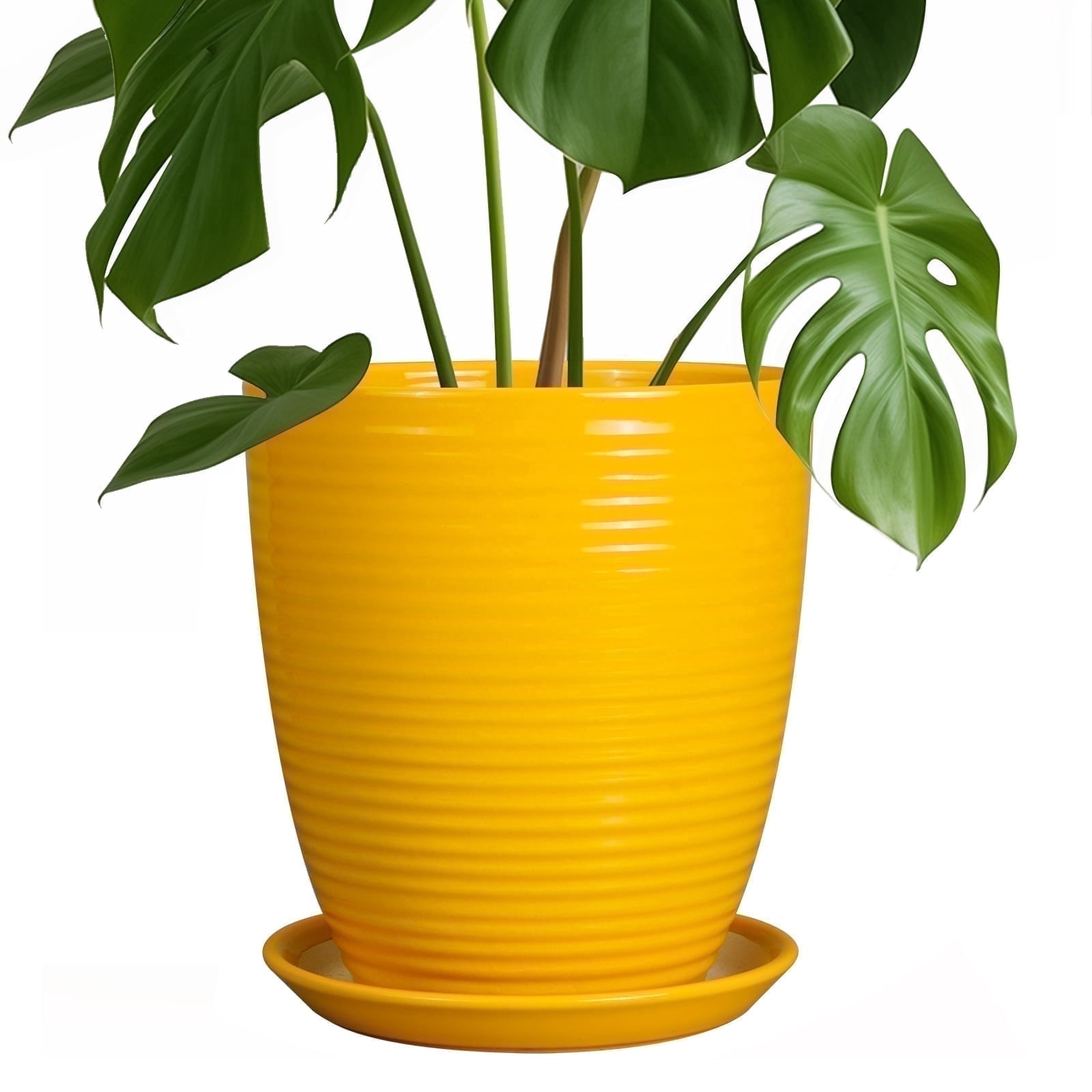 EPFamily 8 Inch Yellow Ceramic Planter with Drainage Hole and Saucer – Modern Flower Pot for Indoor Plants, Snake Plants, Herbs