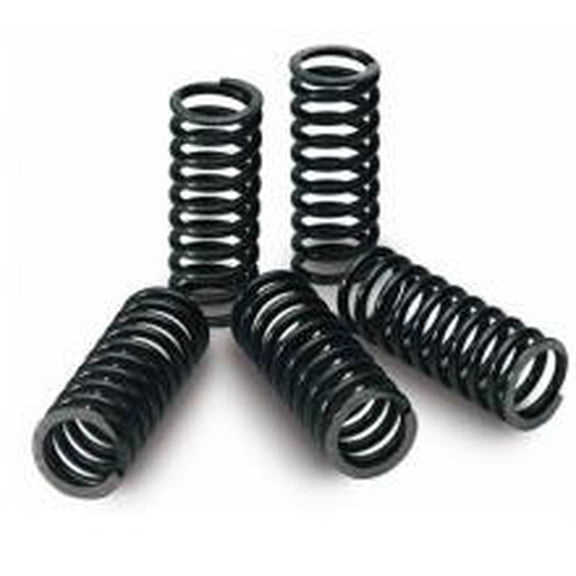 Epi PATV20 Clutch Spring