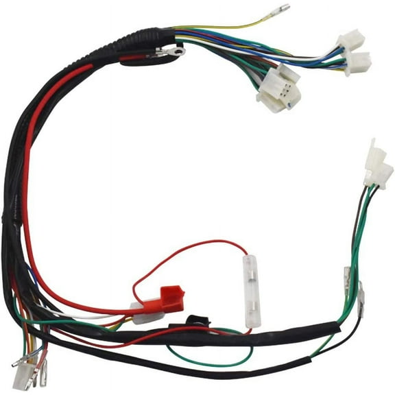 EPOTOOR For GoKart Taotao 50 70 90 110 125CC ATV/UTV Electric Wiring Harness