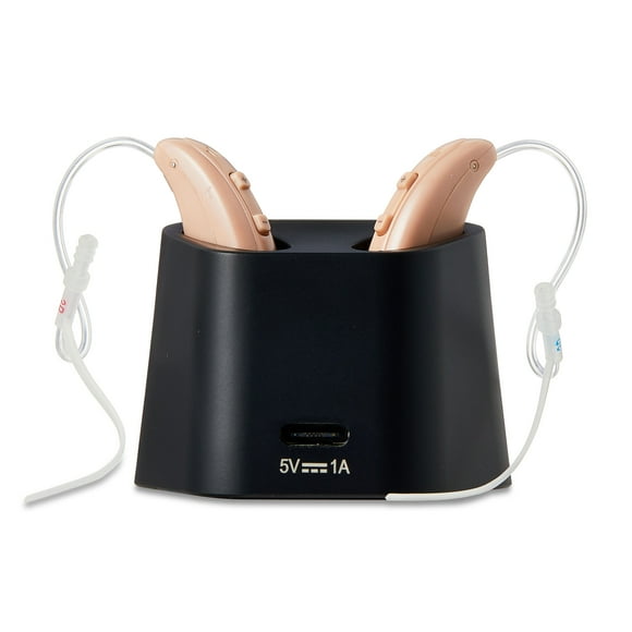 Equate Rechargeable Over-the-Counter Hearing Aids, Noise Reduction, Behind the Ear, 1 Pair
