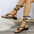 thumbnail image 1 of EQWLJWE Beach Sandals for Women Ankle Strappy Gladiator High Heeled Sandals Chunky Block Heel Square Open Toe Dress Shoes for Going Out, 1 of 5