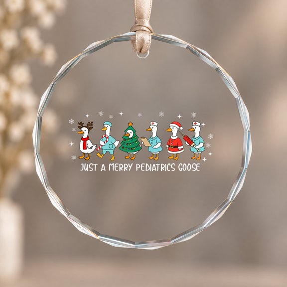 ER Registered Nurse Goose Just A Merry Pediatrics Goose Theme Ornament, Party Decor, Circle Glass Ornament