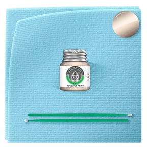 ERA Paints LQ - Pale Adobe Metallic for Lincoln - Exact Match Automotive Touch Up Paint Jar - Car Scratch & Chip Repair - Basic Kit