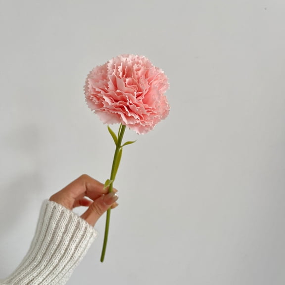 ERDOUY 10 Pcs 11IN Light Pink Artificial Carnations, Silk Fake Flowers for Indoor Home Decor