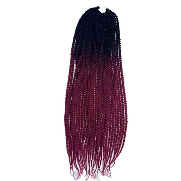 ERDOUY 6 Packs 24 Inch Pre-Twisted Pre-Looped Twist Crochet Hair - Long Crochet Braids for WomenB