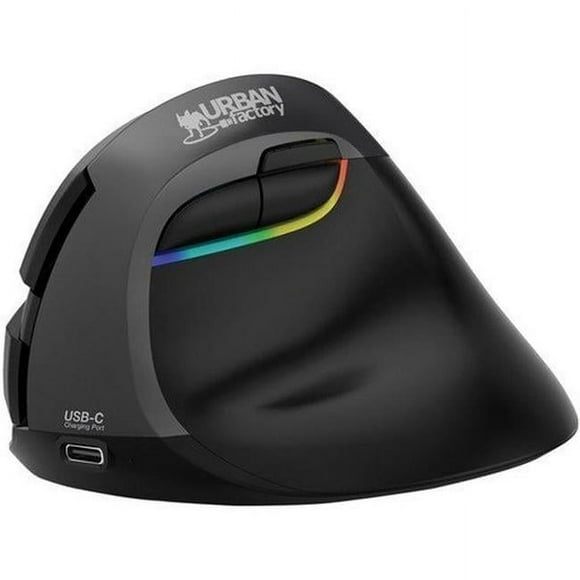 ERGO PRO Mouse - Optical - Wireless - Bluetooth & Radio Frequency - 2.40 GHz - Rechargeable - USB Type C, USB Type A - 4000 Dpi - Scroll Wheel, Black