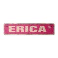 thumbnail image 1 of ERICA Vintage Plastic Street Sign Childrens Name Room Sign | Indoor/Outdoor |  30" Wide, 1 of 4