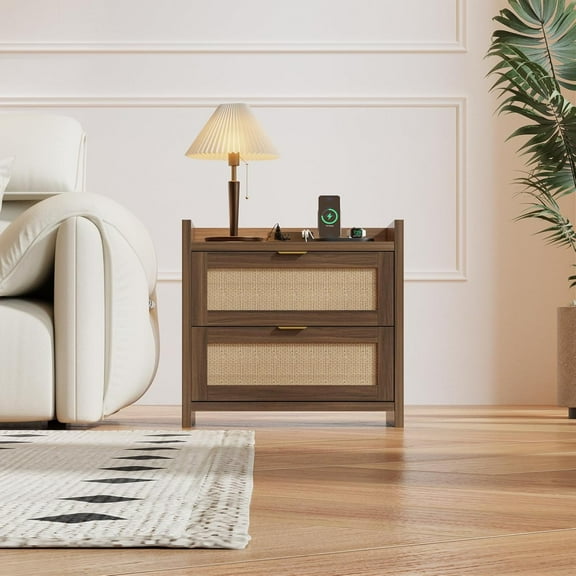 EROMMY Rattan Nightstand with 2 Storage Drawers, Boho End Table with Charging Station, Modern Night Stand with Gold-Finished Handles, Dresser for Bedroom, Study, Living Room (1 Piece)