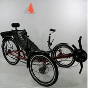 ERT-36 Electric Tricycle