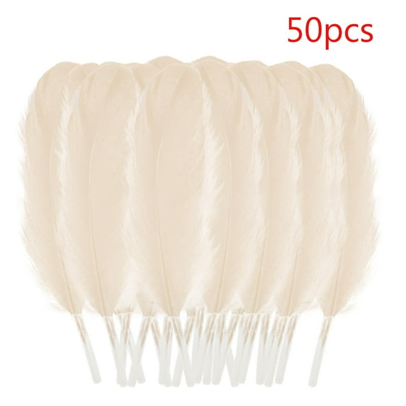 ERTUTUYI Feather 50 Pcs Colourful Plumage for Wedding Party Flower Arrangement Home Decoration Diy Middle Floating Plume for Hair Cat Stick Clothing Craft Decoration Plumage