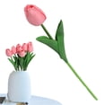 thumbnail image 1 of ERTZAE 10Pc Artificial Silk Tulips Flower,13.5" Pink Gentle Color Gradient Tulip For Easter & Mother'S Day,Soft Faux Tulip Bouquet,Party Floral Decor,Home Room Arrangement,Outdoor Artificial Flowers, 1 of 9