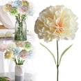 thumbnail image 1 of ERTZAE Carnations Artificial Flowers,Beige 16.34" Fake Carnations,Silk Flowers With Stems Bulk,Outdoor Uv Resistant Fade Decorations,Floral Gift For Taecher,Outdoors Wedding Home Hotel Arrangements, 1 of 8