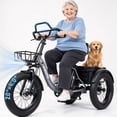 thumbnail image 1 of ESKUTE T300 Pro Adult Electric Tricycle with Reverse, E Trike, 998.4Wh Battery, 20" x 4.0" Fat Tires, Foldable 3 Wheel Electric Bike, Stable Ride for Seniors & Parents Gray, UL2849, 1 of 6
