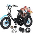 thumbnail image 1 of ESKUTE T300mini Electric Tricycle for Beginners, 16" x 3.0 Fat Tire Folding 3-Wheel E-Bike, 250W Motor 12 MPH, 302Wh Battery, Step-Thru, Black with Lock, Phonebag and mirror, UL2849, 1 of 8