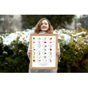 ESPERANTO Alphabet POSTER Print With Words And English Translations 16 x 20 inches