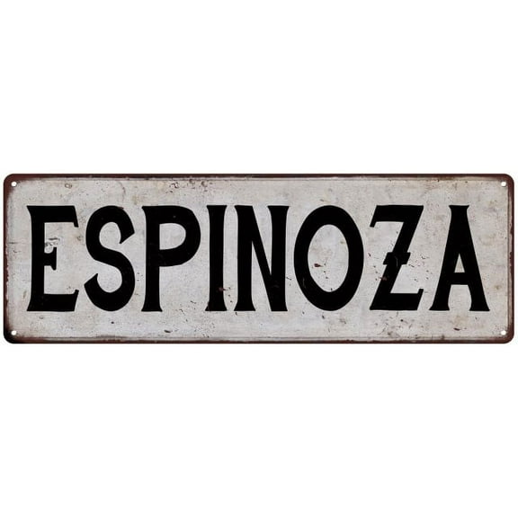ESPINOZA Vintage Look Gift Rustic Chic Metal Sign 6x18 206180036871