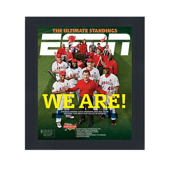 ESPN Magazine Display Frame - Complete with Acrylic, Backing, and Hardware - Fits Any Magazine